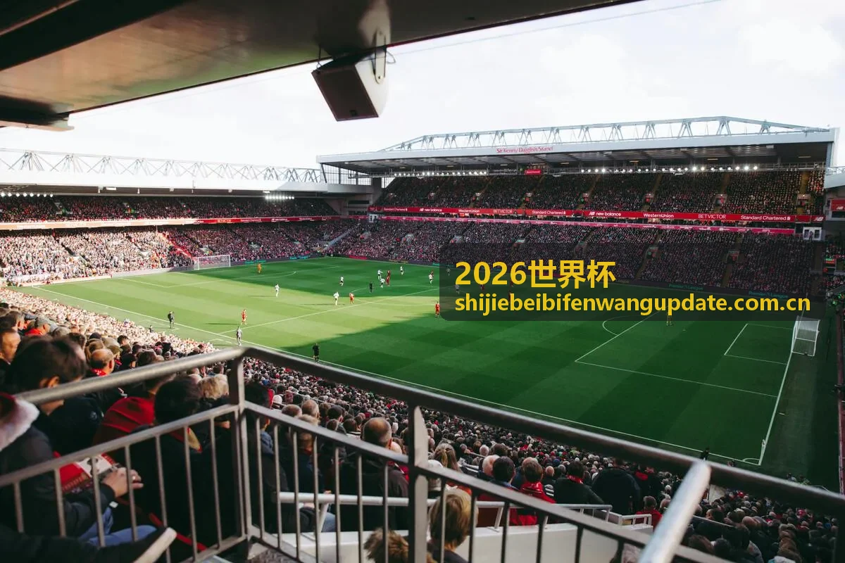 2026世界杯荷兰队阵容展示